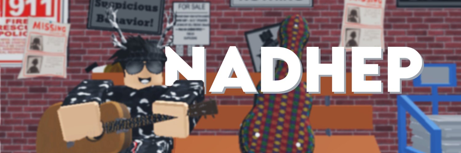 Ndip banner