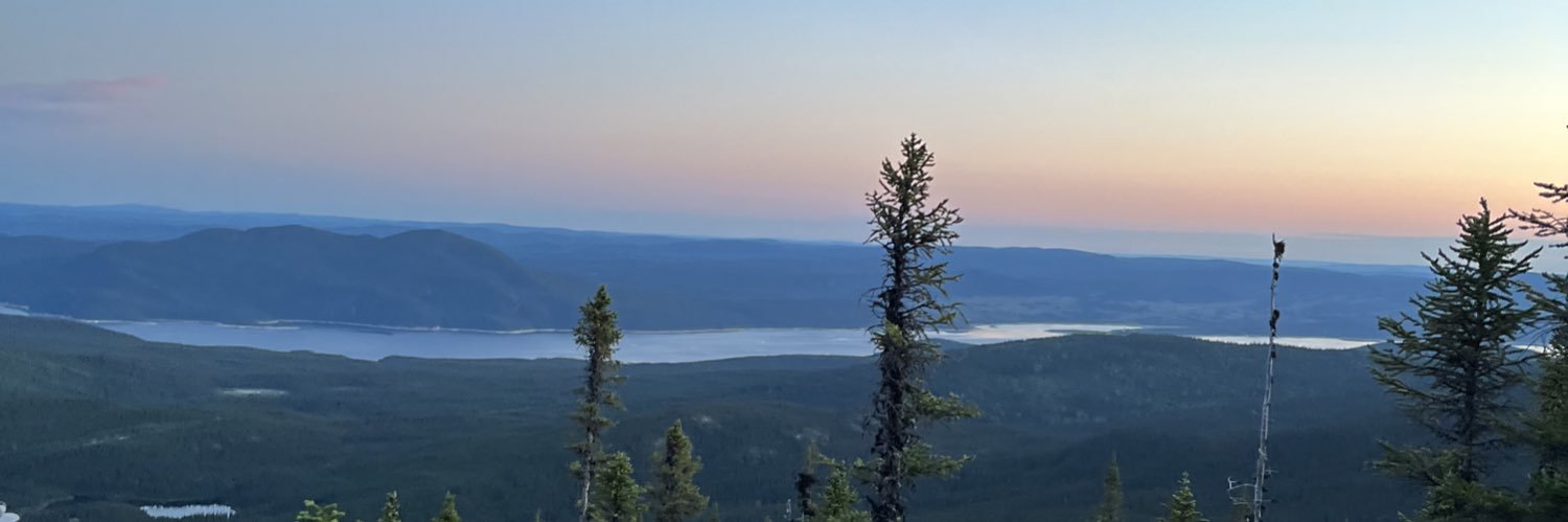 isabelle dumais banner