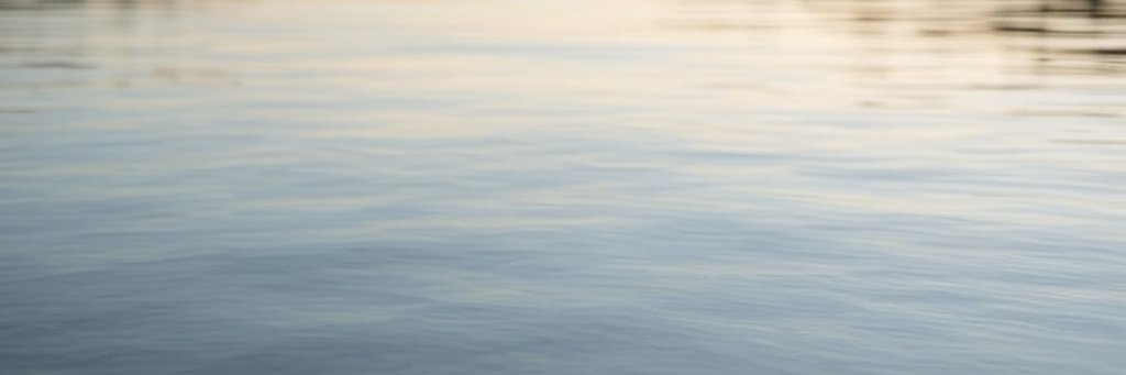 Procrustes_b's profile banner image