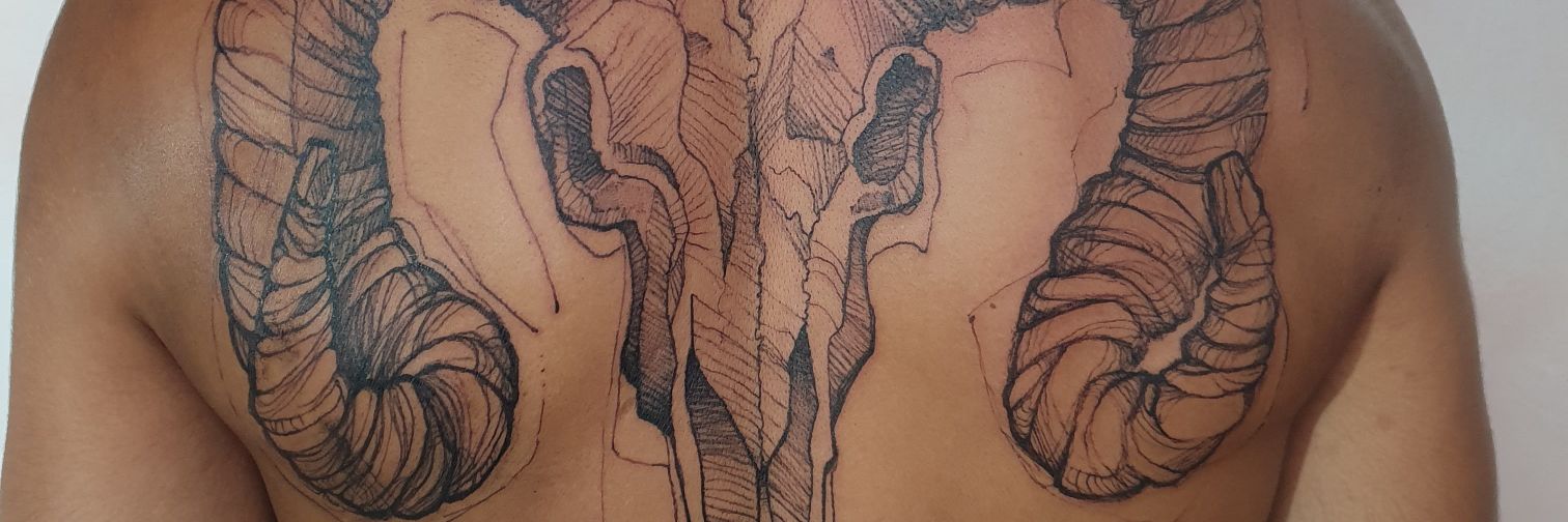 EstevesArthur's profile banner image