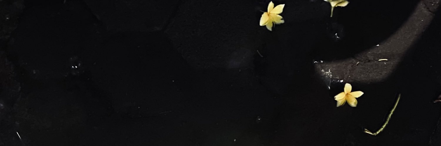 Siyoss_'s profile banner image