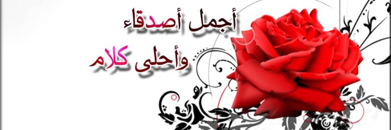 amerameer433's profile banner image