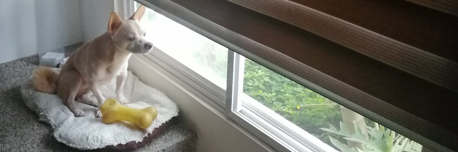 Jennatta's profile banner image