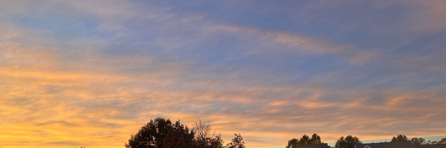 Michael Langner banner