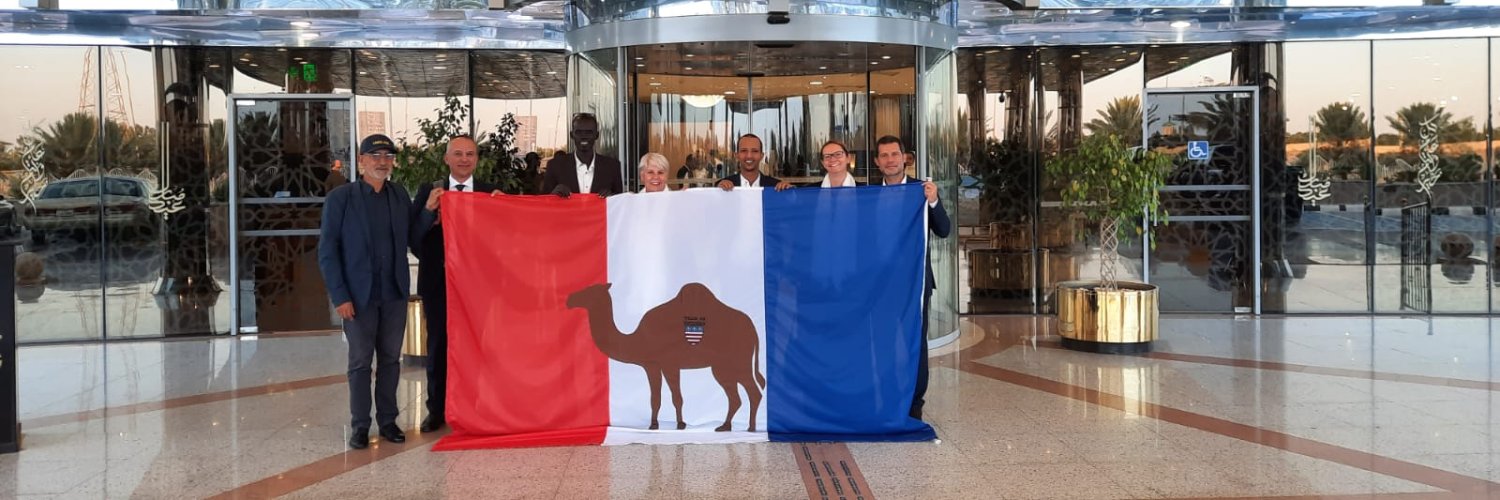 ONG DromaCity international banner