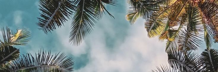 EmiGuia's profile banner image