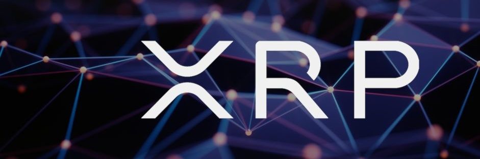 XRP_Feed's profile banner image