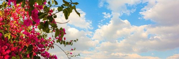 Flowers's banner