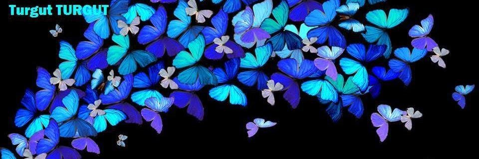 nazlarac's profile banner image