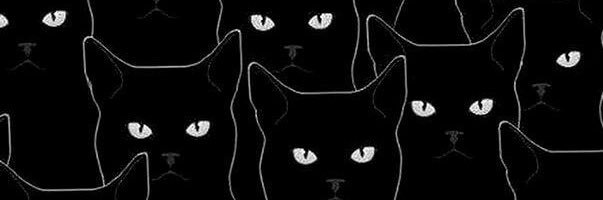 oandreshc's profile banner image