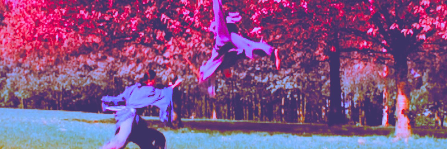 PeronaCBlue's profile banner image