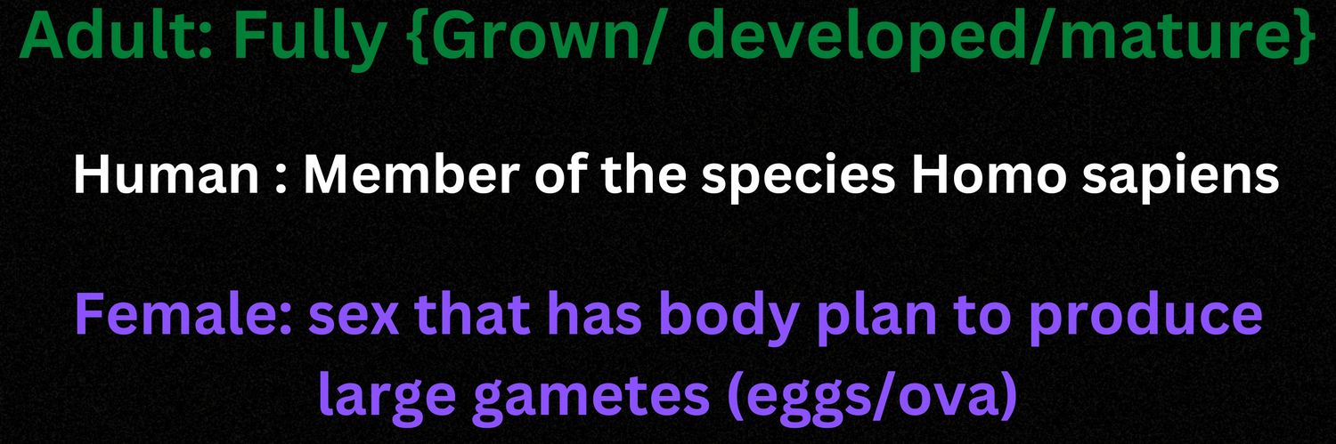 Privacy, dignity, safety & fairness banner