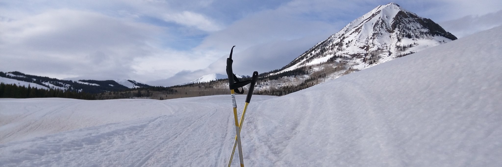 Dmitry Karlinsky banner