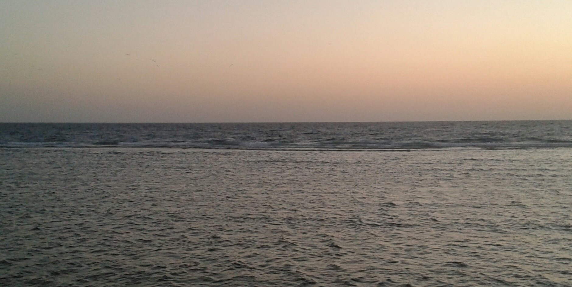 saly1239's profile banner image