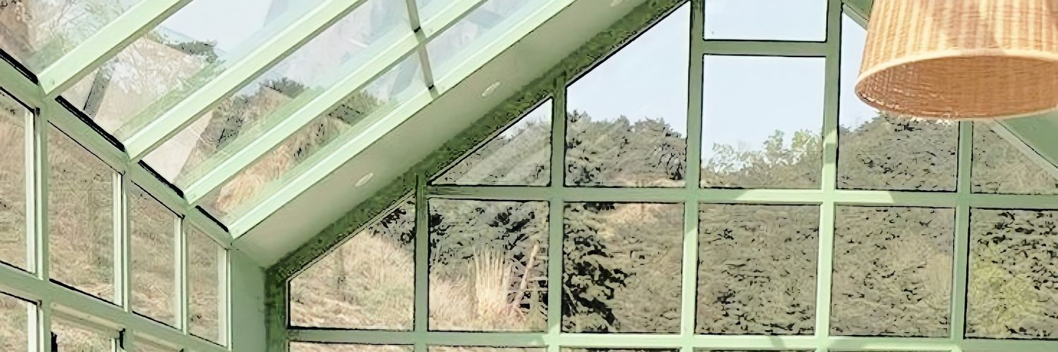Ileana banner