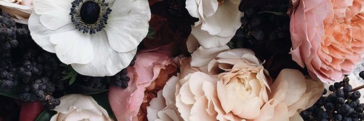 ASNOUSH's profile banner image