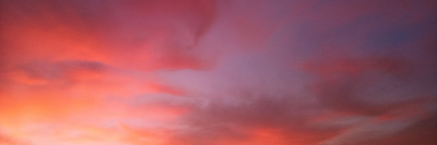 Olga María Sarrio L. banner