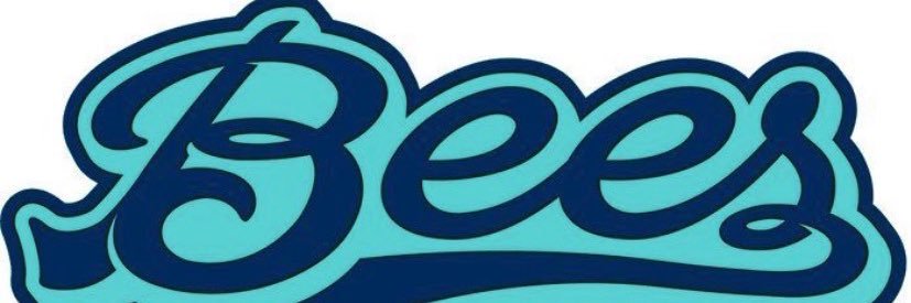 Byron Center Killer Bees banner