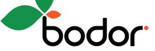 bodorgelo's profile banner image