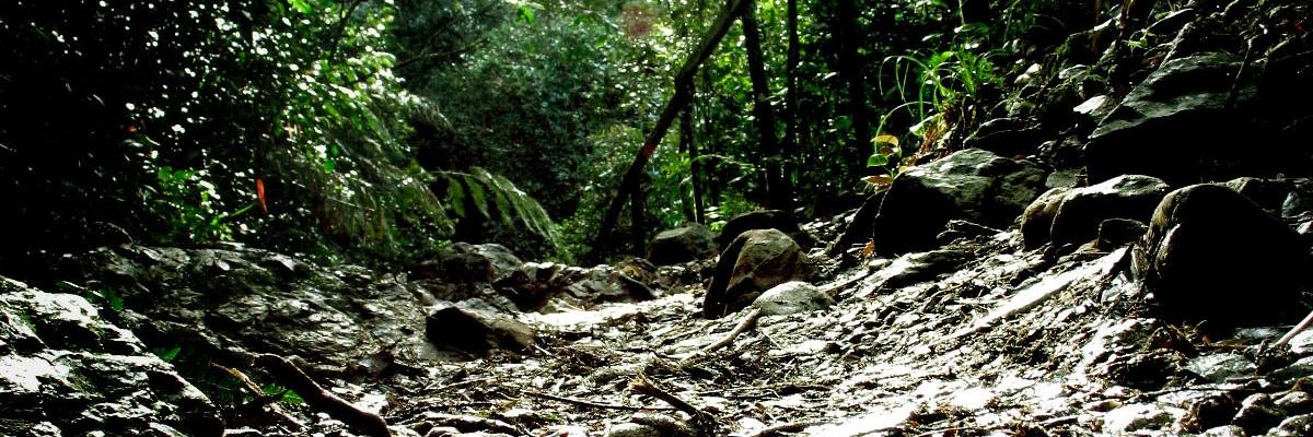 adragt's profile banner image