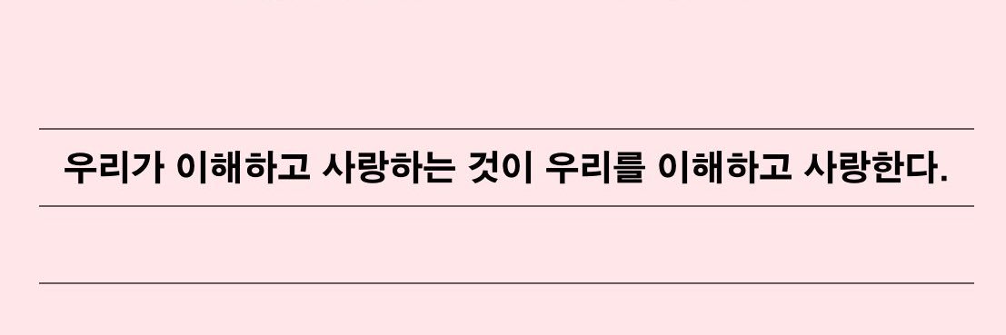 또 banner