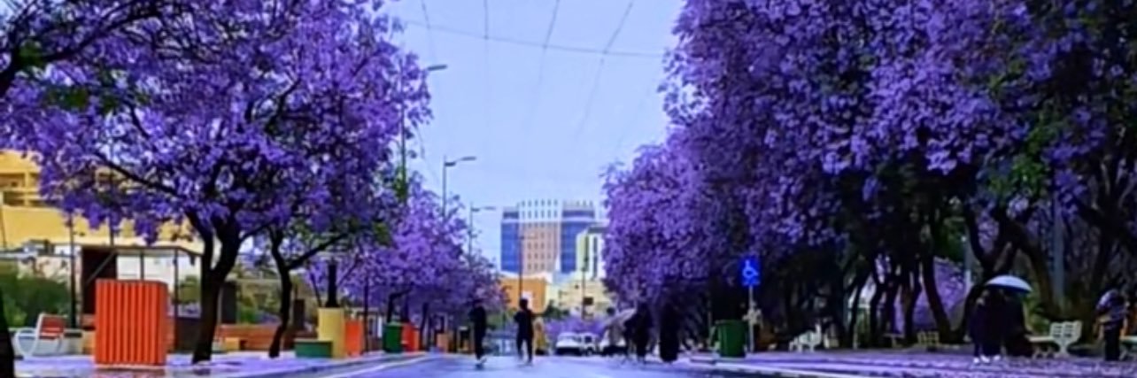 aass911as's profile banner image