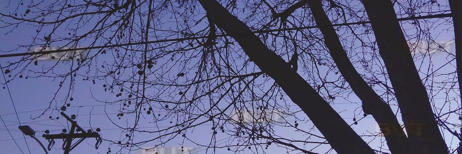 ༻Jᴜsᴛᴛʜ༺'s banner