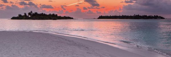 aommoney Profile Banner