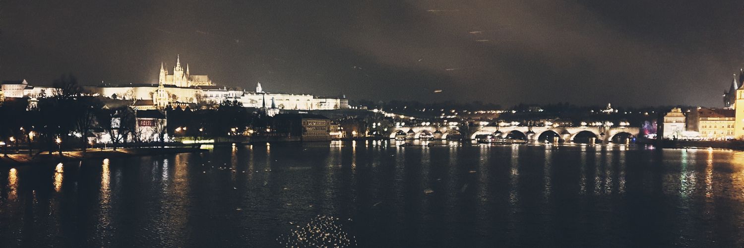 🦁❤💛 👶👶🏀🦖 🇨🇿 🇫🇷 ⭐⭐ banner
