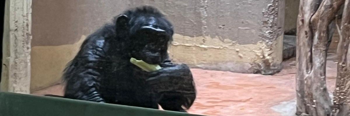 Carreetero_28's profile banner image