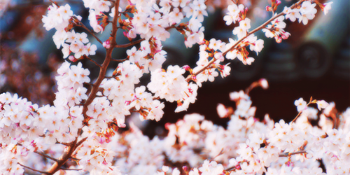 O2_890801's profile banner image