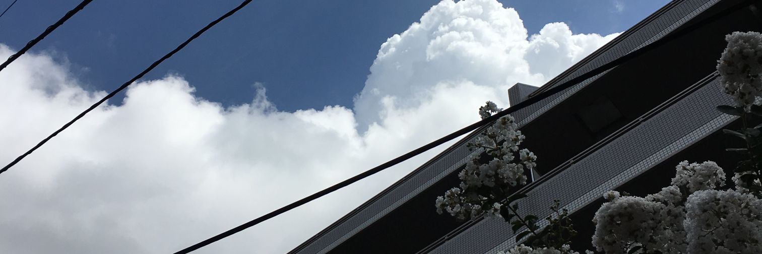 okciel's profile banner image