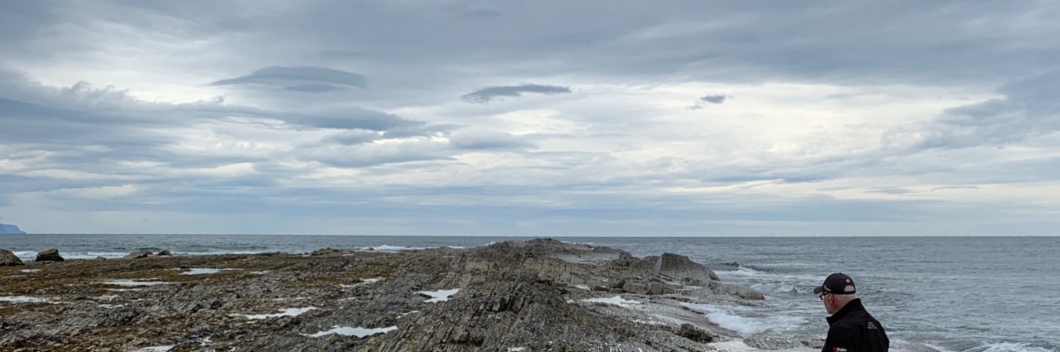 Nat (she/her/elle) banner