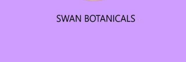 shopatswan's profile banner image