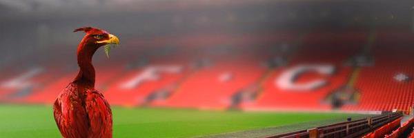 TheOneLfc's profile banner image