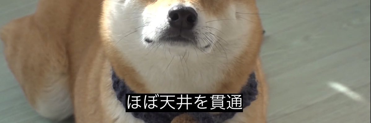 cloud_SSR's profile banner image