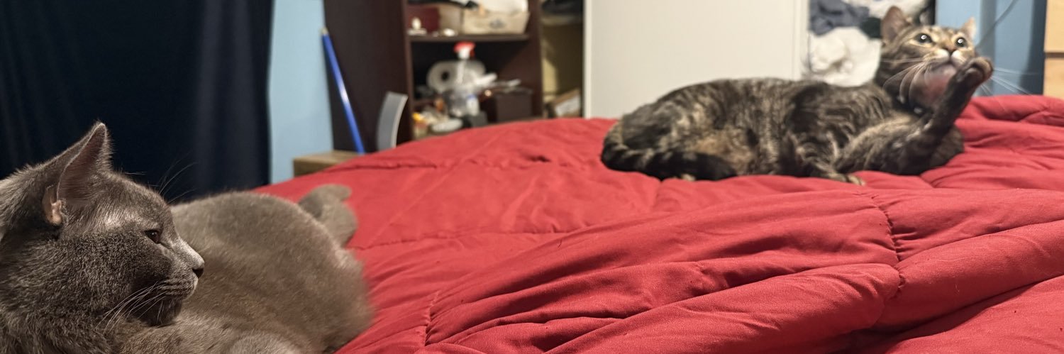 nonnie74's profile banner image