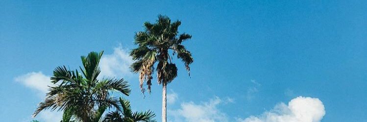 sk8ergurl2001's profile banner image
