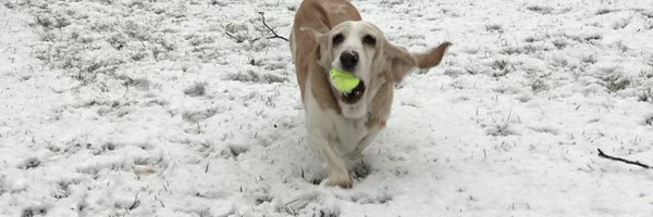 shonali Profile Banner