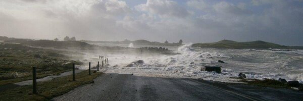 ants000 Profile Banner