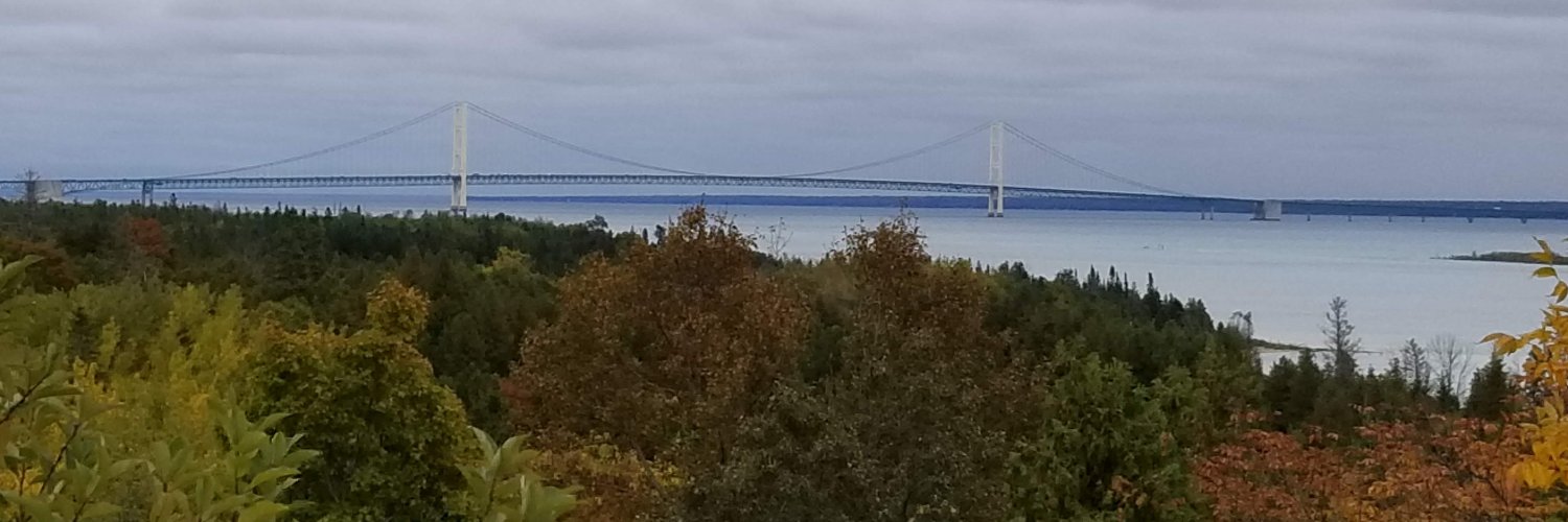 Quinn (they/them/theirs) banner