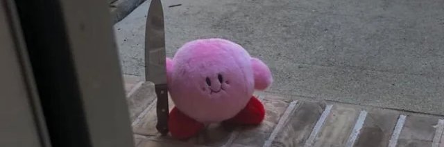 The script kiddie 🇫🇷 banner