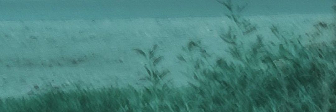 potatopleb413's profile banner image