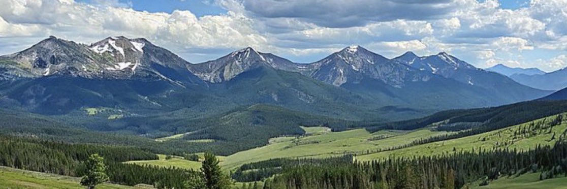 José Roberto banner