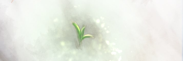 けず🍀🐼 banner