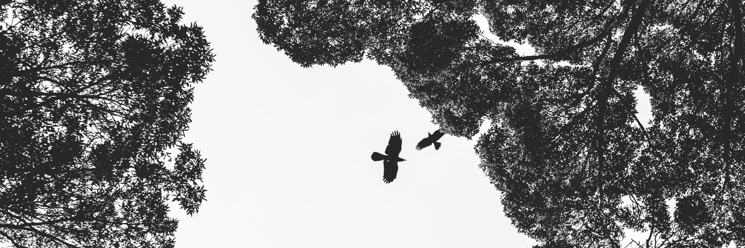 CatherineForge's profile banner image