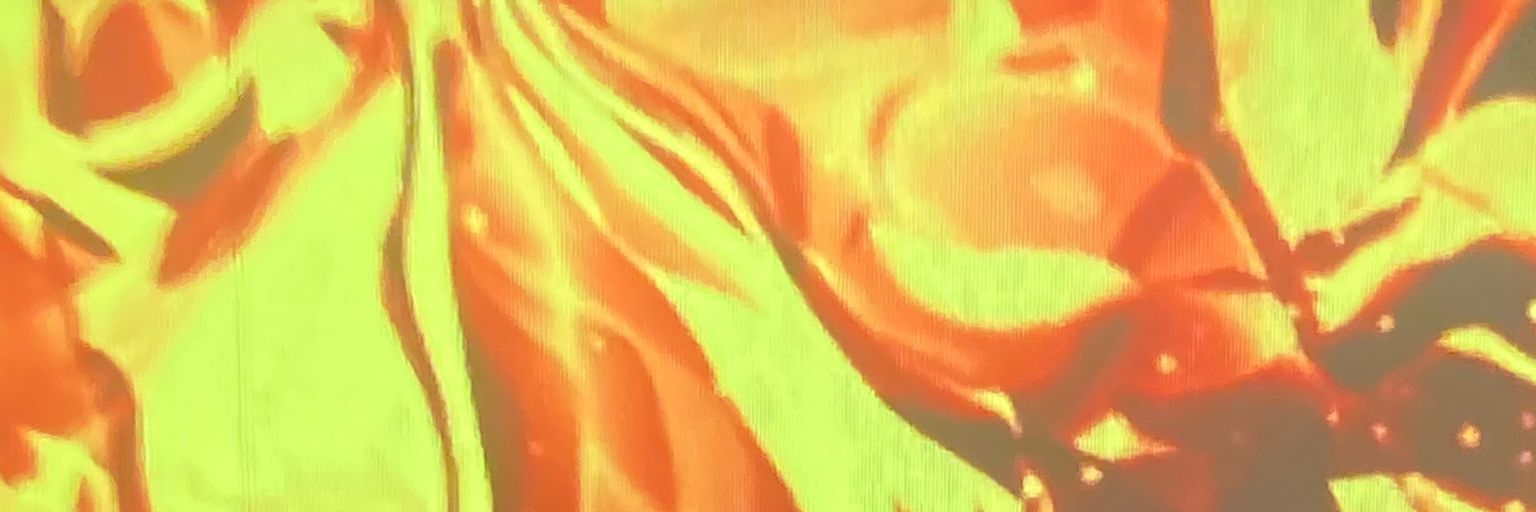 calmamisamore's profile banner image