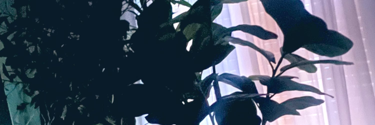 TSissymonique's profile banner image