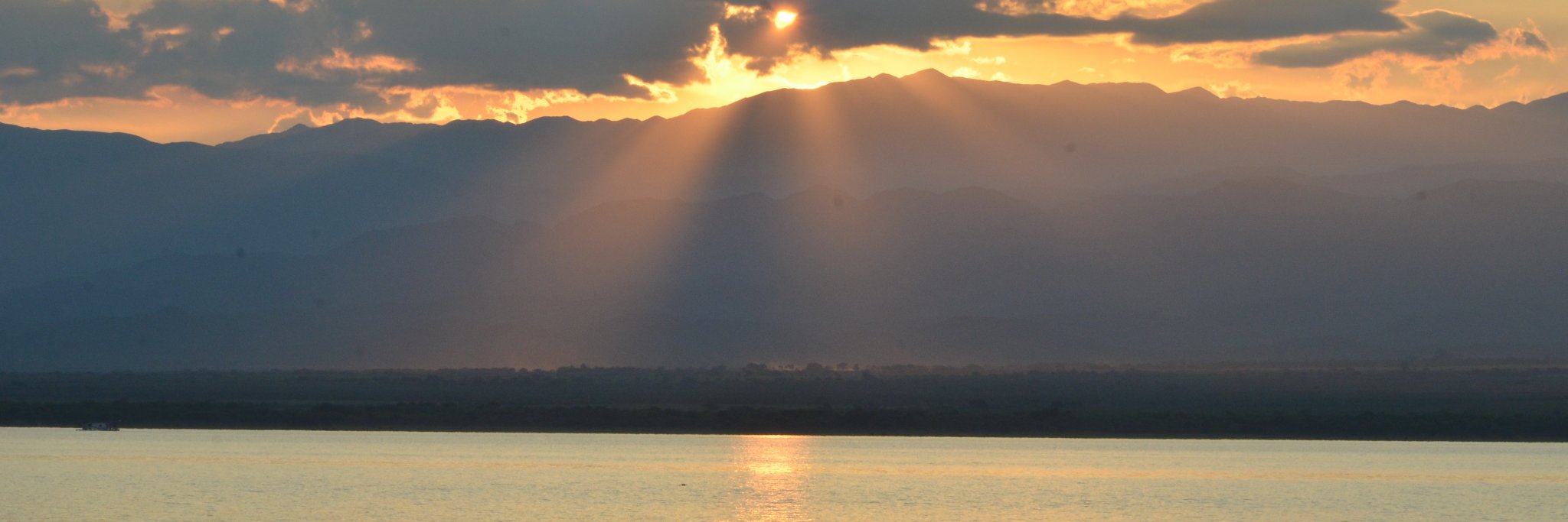 Facundo San Roman banner