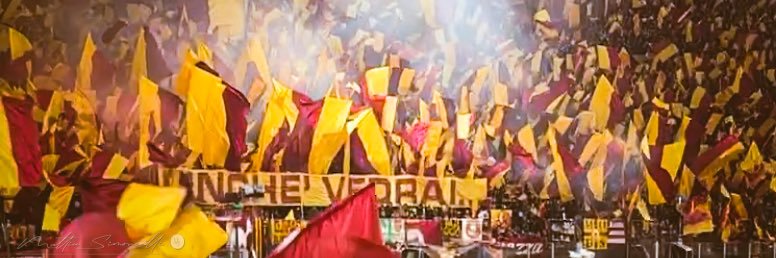 🟧🟥 Matt 🐙 banner